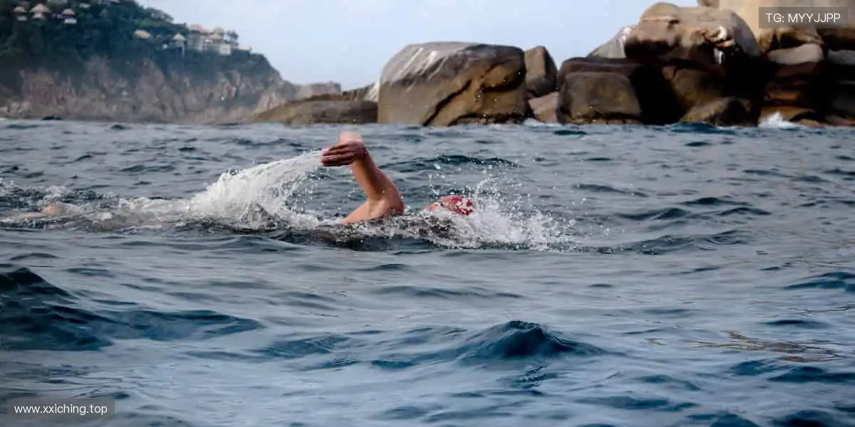 🎁把赛场带回家,让热爱触手可及!